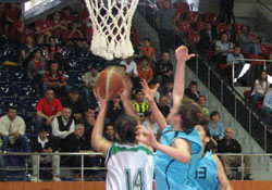 Bayanlar Basketbol'da Ordu'da karşılaştı