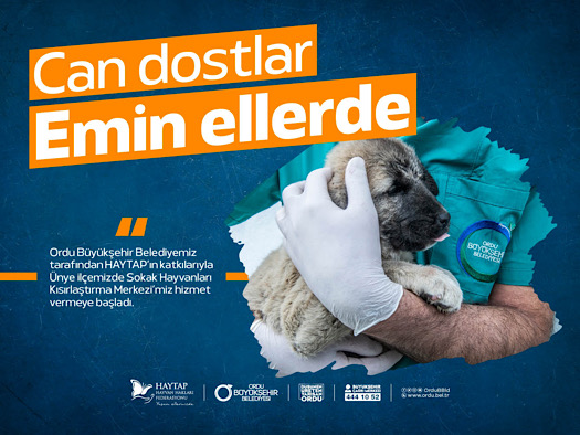 Ünye kısırlaştırma merkezi açıldı