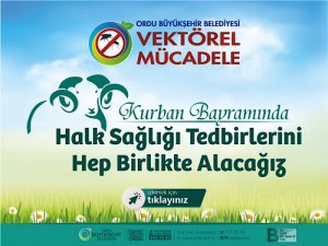 HAYVAN HASTANESİ CAN DOSTLARIN SIĞINAĞI OLDU