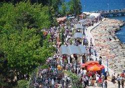 Fatsa'ya Mayıs 7'si akını