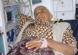 Ordu'da kenenin ısırdığı kadın Samsun'a sevk edildi