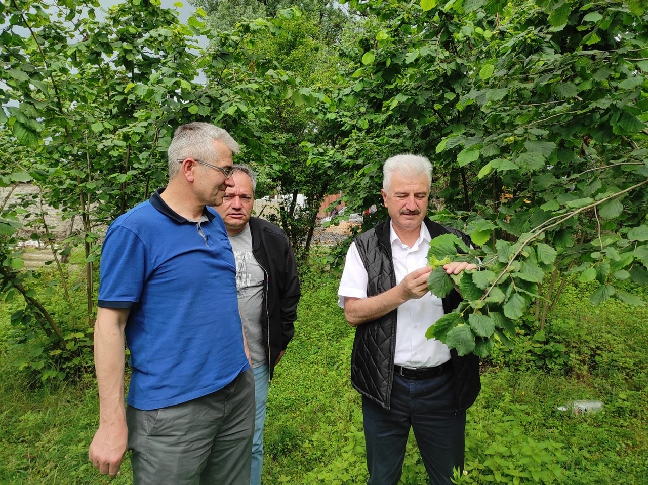 ULUSAL FINDIK KONSEYİ, GÜRCİSTAN’DA "REKOLTE TESPİTİNDE"