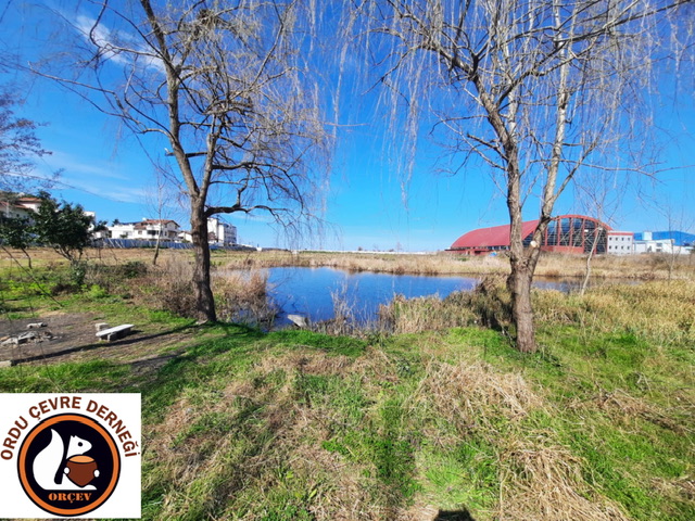 ORÇEV, “OBB çelişkili yanıt veriyor”