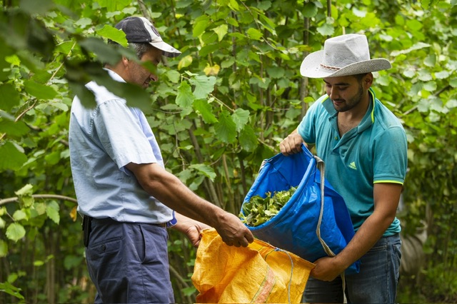 OBB NİN KAYITLI YERLİ İŞÇİ RAKAMI 7 BİN 496’YA ULAŞTI