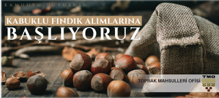 Toprak Mahsulleri Ofisi bugün itibari ile (21.08.2023) kabuklu fındık alımı için randevu vermeye başladı.