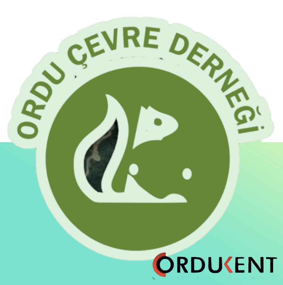 ORÇEV, "KORUMAYI BIRAKIN, YARGI KARAR VERSİN."