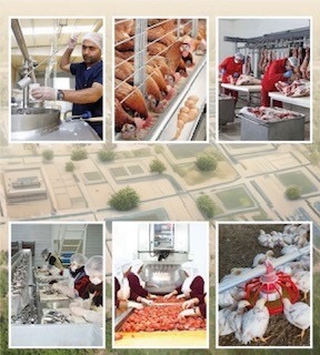 2025 Yılında TKDK 80 Yatırıma Destek Sağladı