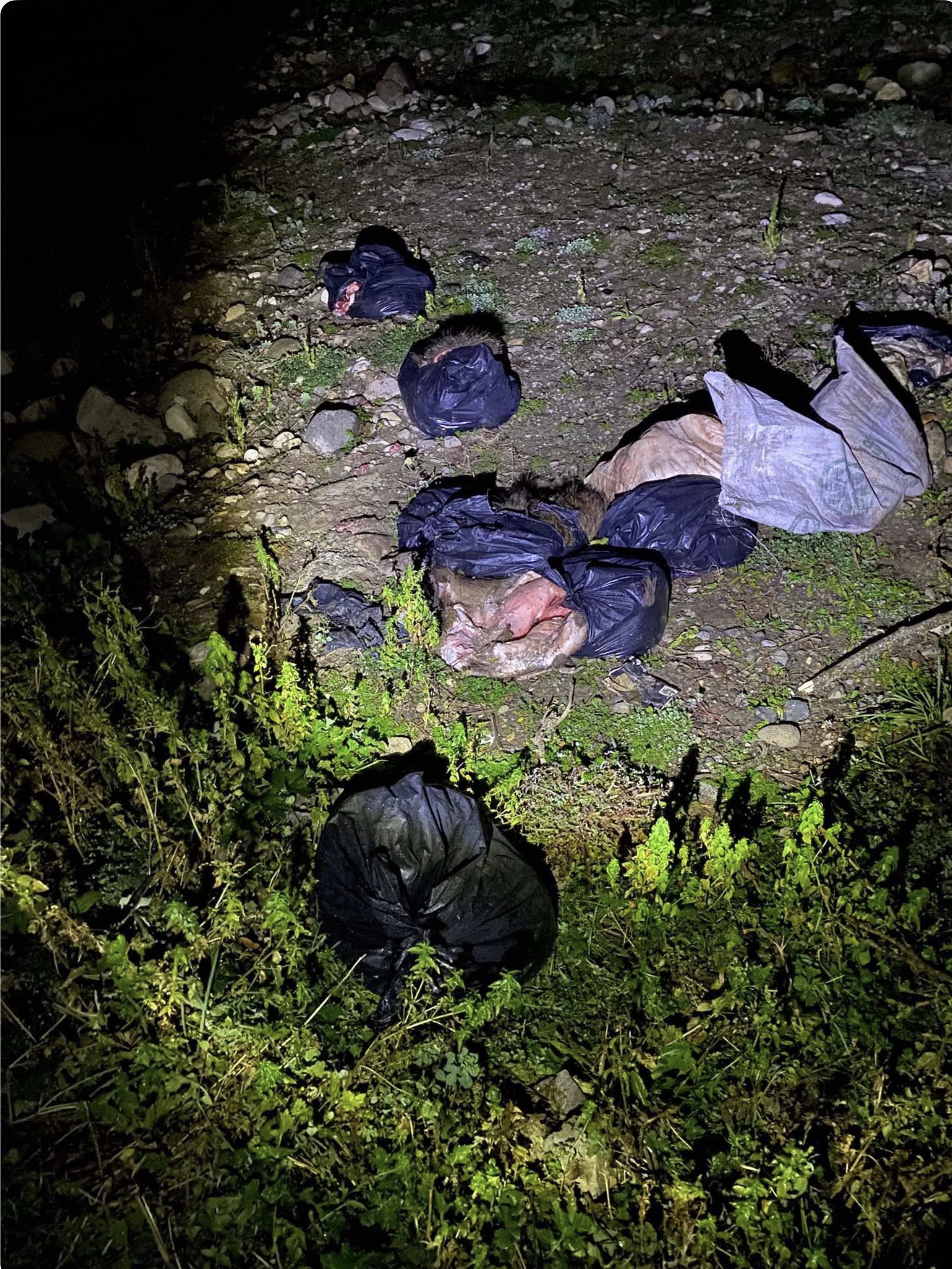 CİVİL KIYISINDA KESİLİP PAKETLENMİŞ DOMUZ ETİ FAİLLERİ BULUNUP İŞLEM YAPILMALIDIR...