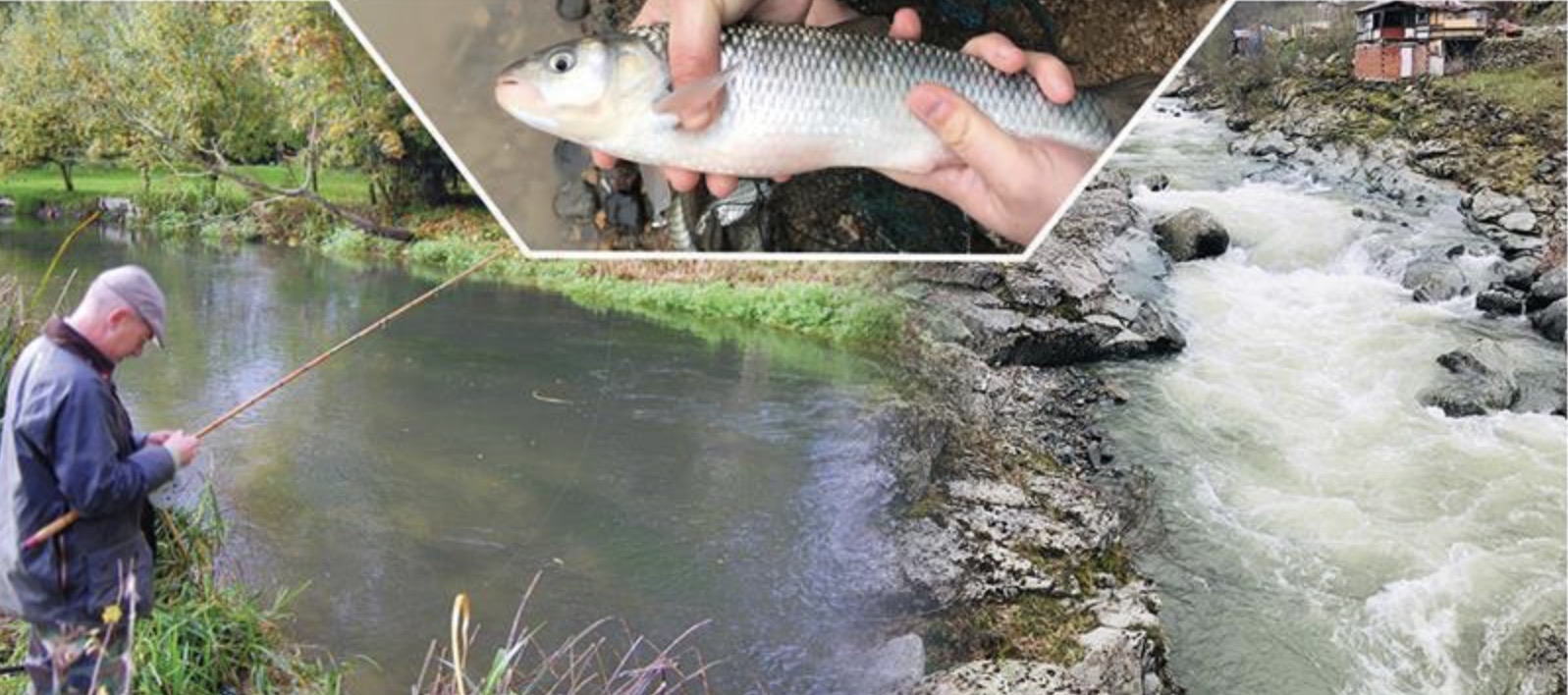 BALIK AVI YASAKLARI 1 NİSAN'DA BAŞLIYOR:  KURALLARA UYMAYANA CEZA YAĞACAK!