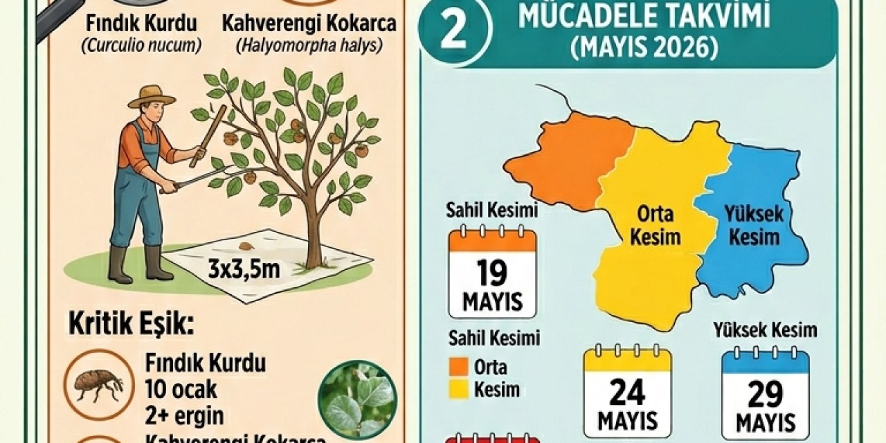 FINDIKTA KRİTİK DÖNEM: İKİ BÜYÜK ZARARLI İÇİN MÜCADELE DÜĞMESİNE BASILDI