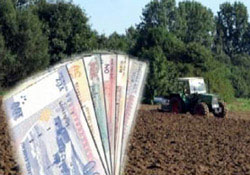 DGD ödemeleri başlıyor