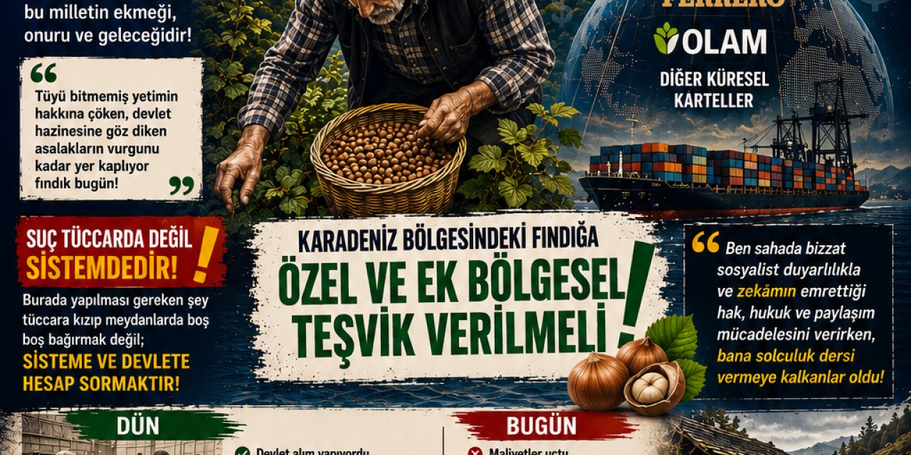 Nevzat AKATA : FINDIKTA OTUZ YILLIK KEHANET VE ACI GERÇEKLER: DEVLET NEREDE, KİMLER KARTELLERİN  KUCAĞINDA?