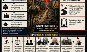 MUTLAK BUTLAN MAYIN EŞEKLERİ
