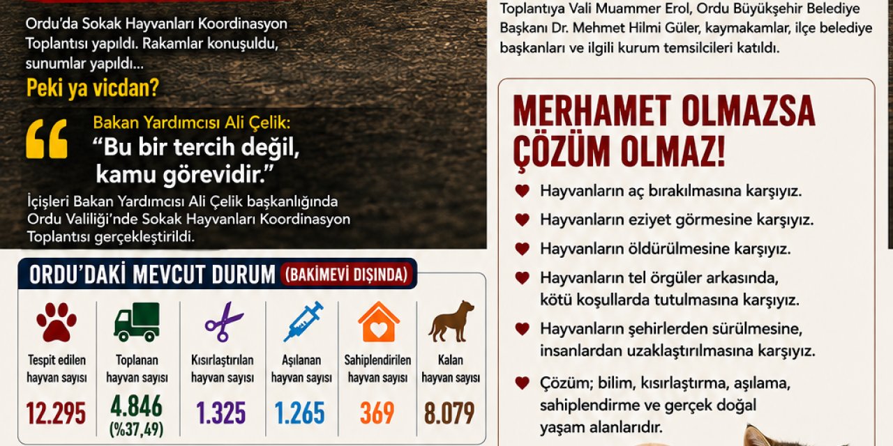 SOKAK HAYVANLARI DEĞİL, VİCDANLARIMIZ TOPLANIYOR!