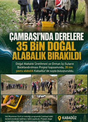 ÇAMBAŞI’NDA DERELERE 35 BİN DOĞAL ALABALIK BIRAKILDI