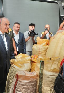 TMO FINDIK ALIMINA BAŞLADI: ÜRETİCİYE 250–255 TL