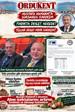 HAMARATA SORSANIZA "FINDIKTA DEVLET NEREDEYDİ?"