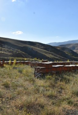 ORDU’DA 223 PROJEYE 176,7 MİLYON LİRALIK HİBE