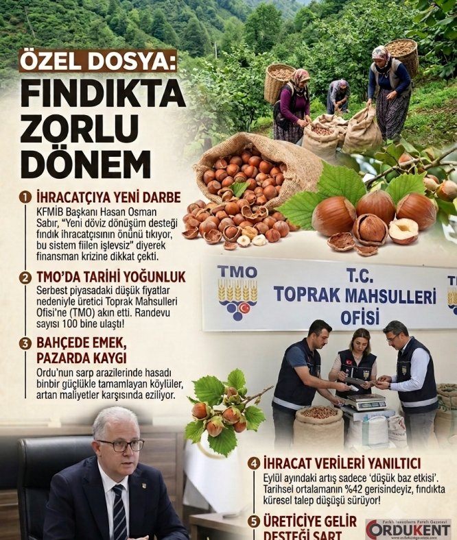 ORDU’NUN CAN DAMARI FINDIKTA İHRACATÇIYA YENİ DARBE! KFMİB BAŞKANI SABIR UYARDI
