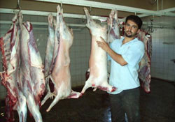 1 lira fazla verin Ordu eti alın