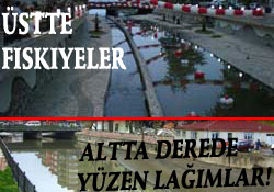 B.klu derenin açılışı yapıldı