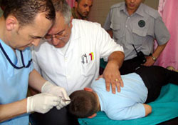 2 günde 14 kişiyi kene ısırdı