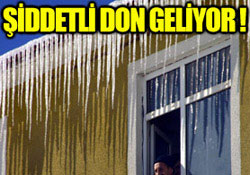 Şiddetli don geliyor !