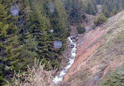 Horlak projesi ortada kaldı