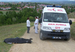 Evinin yolunda ölü bulundu