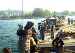 Fatsa limanı için 500 YTL ödenek