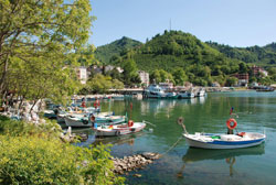 Ordu da mavi yolculuk ağustosta başlıyor