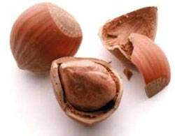 TMO nun fındık alımları