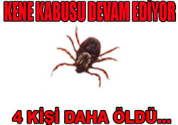 Kene kabusu bitmek bilmiyor!