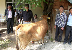 Köy muhtarlarına kene ilacı dağıtıldı