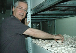 Mantar vitamin deposu çıktı