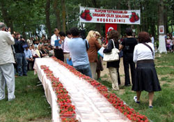 Samsun'da çilek şenliği yapıldı
