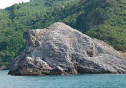 Hoynat Adasi önemli kuş alanı seçildi