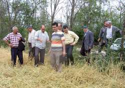 Samsun'da tarlaları dolu vurdu