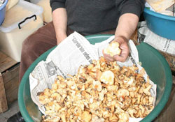 Mevsimlik kazanç kaynağı mantar