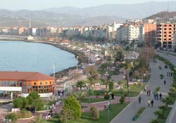 Fatsa Çınar Festivali hazırlıkları devam ediyor