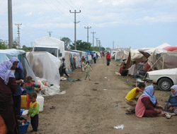 Ordu' da mevsimlik işçi talep başvuruları başladı