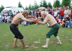 Dedeler güreşte nineler güzellilte yarıştı