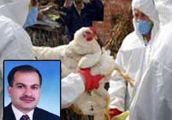 Rahatlayın, Ordu'da Kuş gribi tehlikesi yok