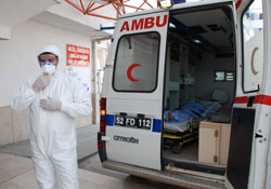 Ordu'da 2 ayrı kene vakası