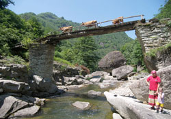 Karadeniz köprüleri zamana direniyor