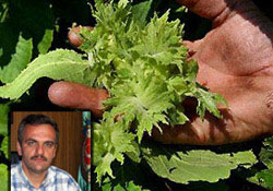 Tarım sigortası yaptırmayan destek alamıyor