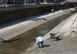 Bokludere Katliamına devam!!!