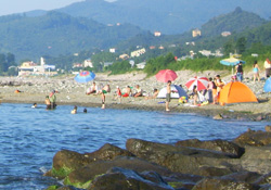 Sıcağı gören Ordulular denize akın ediyor