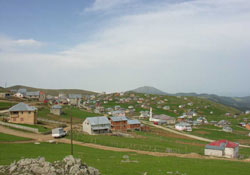 Giresun yaylaları masaya yatırılıyor