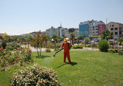 Parklar keneye karşı ilaçlandı
